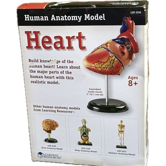 Learning Resources Human
Anatomy Model LER 3334 The Heart
29 Piece Model - Picture 4 of 6
